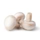 Champignons 250 gr Schale